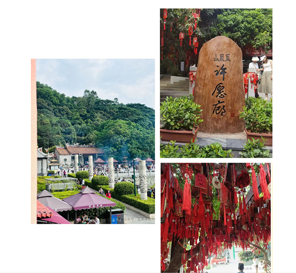 登山團建丨攜手共進 勇攀高峰